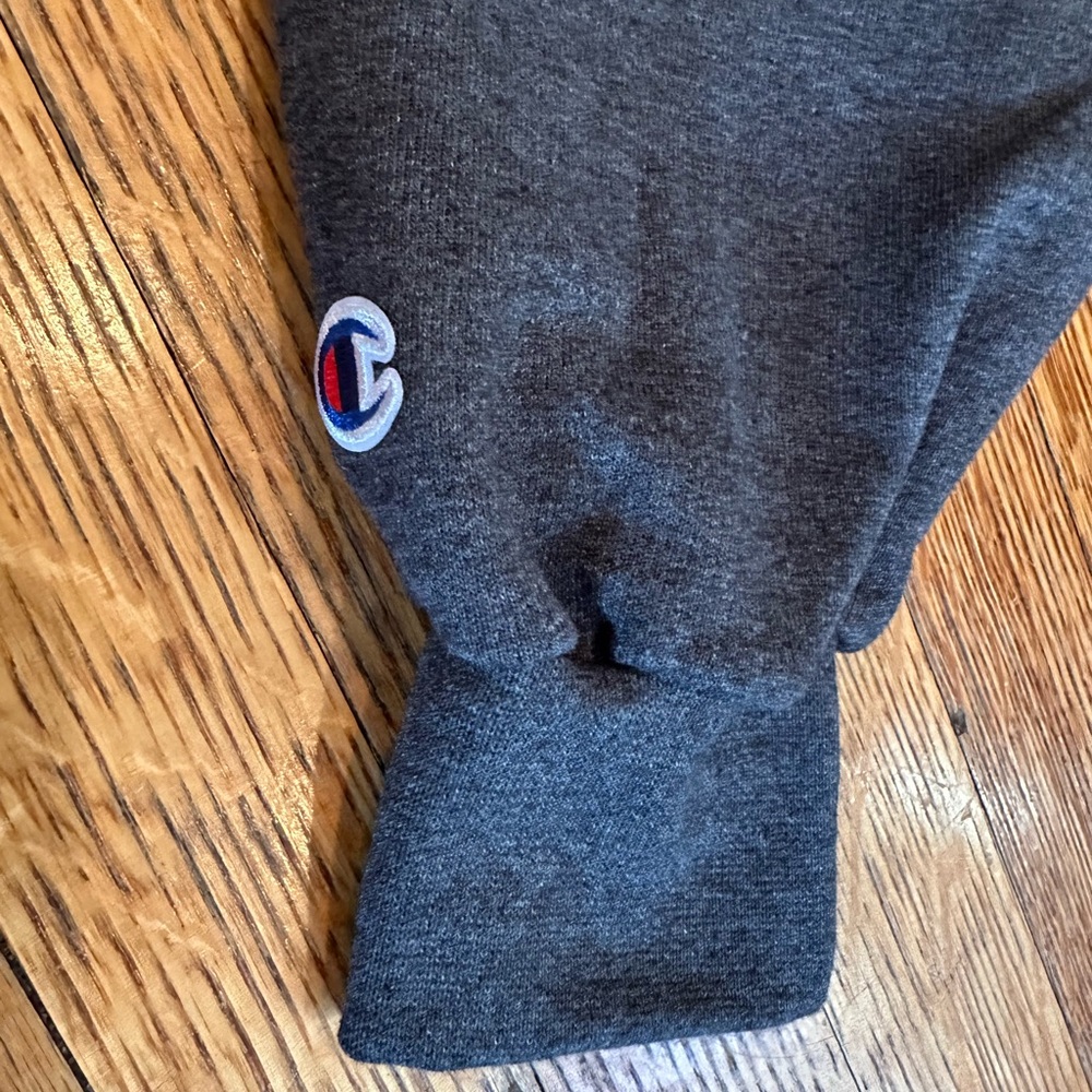 2025 NCAA CHAMPIONS University of Florida Gators Dark Gray Men's Hoodie Medium - Picture 6 of 7